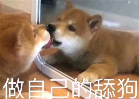 打招呼表情包7
