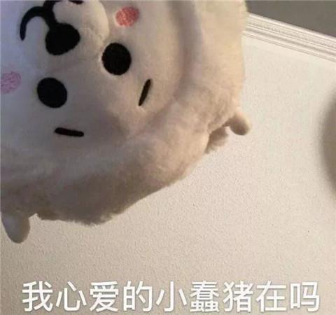 打招呼表情包4