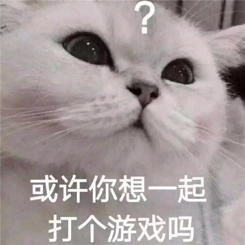 打招呼表情包11