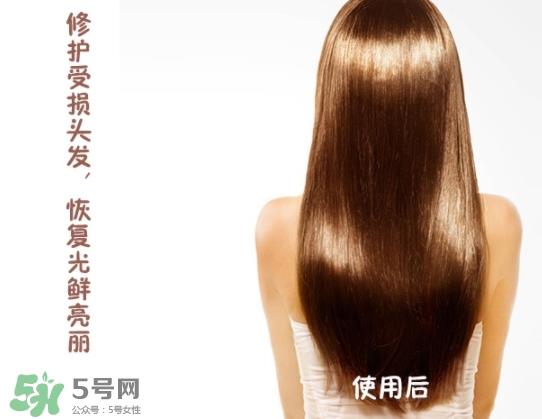 玉肌护发素怎么样？玉肌护发素多少钱？