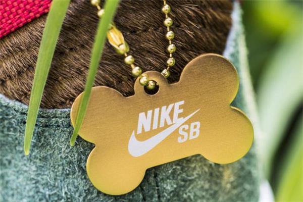 耐克dunk sb遛狗配色开箱测评 实物细节尽览