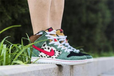 ​耐克dunk sb遛狗配色开箱测评 实物细节尽览