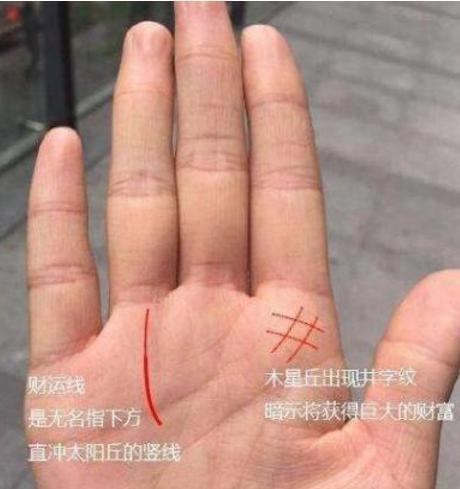 男人“龙种纹”手相，天生荣华富贵之身，不是富豪就是皇帝命