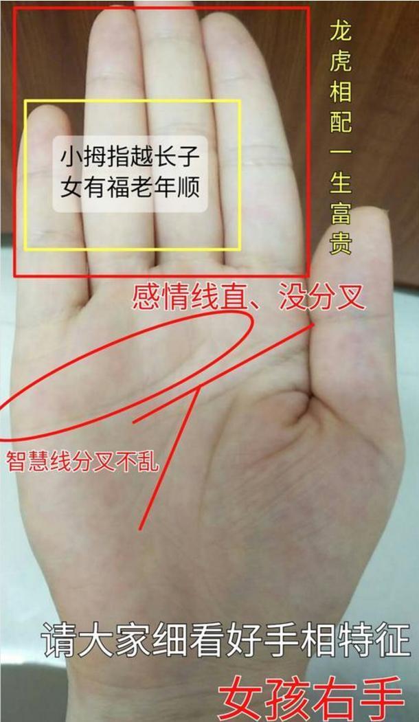 男人“龙种纹”手相，天生荣华富贵之身，不是富豪就是皇帝命