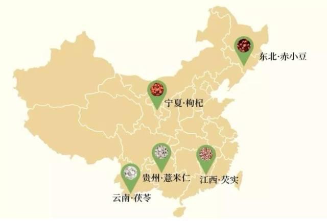 百年古方茯菊散，每天一杯，轻松除湿气