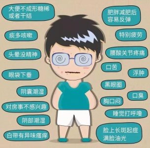 ​百年古方茯菊散，每天一杯，轻松除湿气