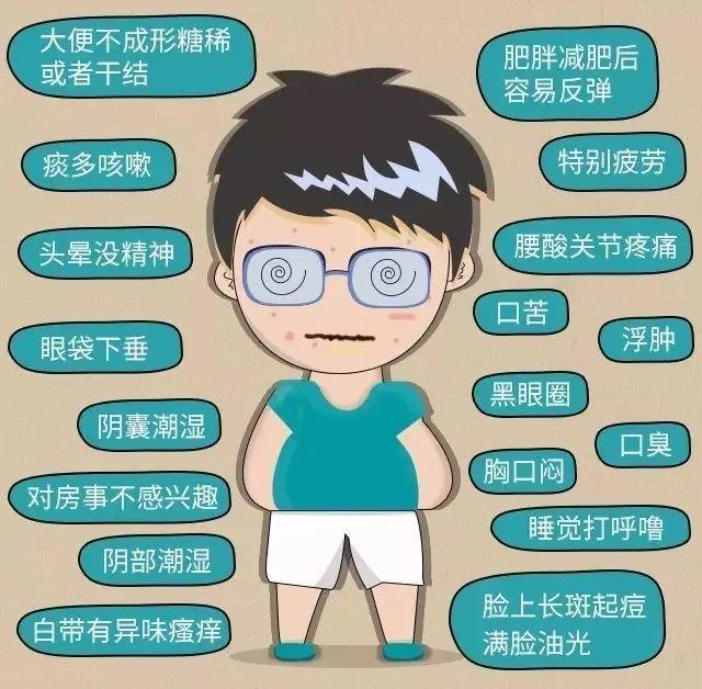百年古方茯菊散，每天一杯，轻松除湿气