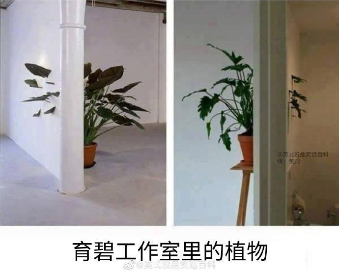 囧哥:画风突变！巴基斯坦政府发布会直播忘关猫咪滤镜