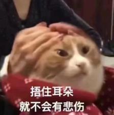 囧哥:画风突变！巴基斯坦政府发布会直播忘关猫咪滤镜