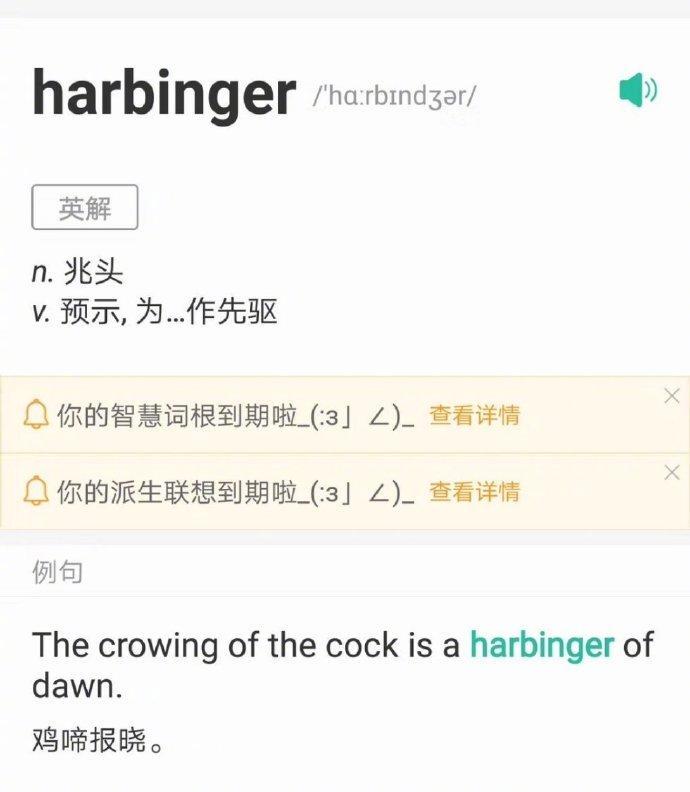 囧哥:画风突变！巴基斯坦政府发布会直播忘关猫咪滤镜