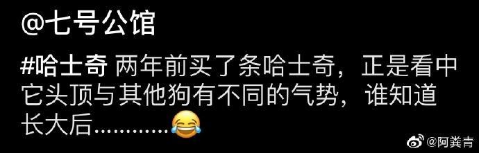 囧哥:画风突变！巴基斯坦政府发布会直播忘关猫咪滤镜