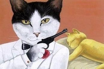 囧哥:画风突变！巴基斯坦政府发布会直播忘关猫咪滤镜