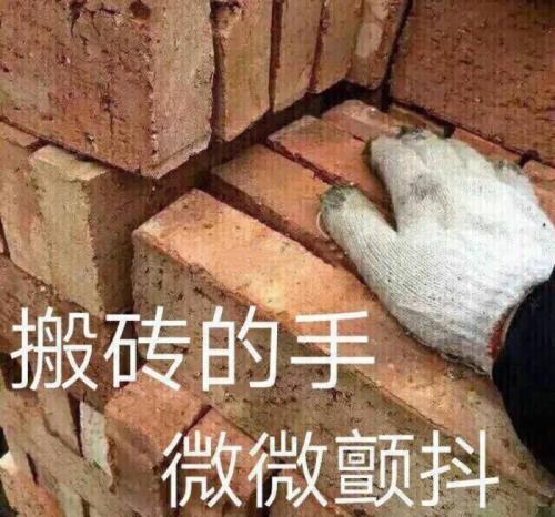 囧哥:画风突变！巴基斯坦政府发布会直播忘关猫咪滤镜