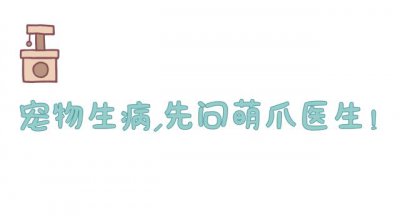 ​“我给猫纹身了，这次肯定红！”