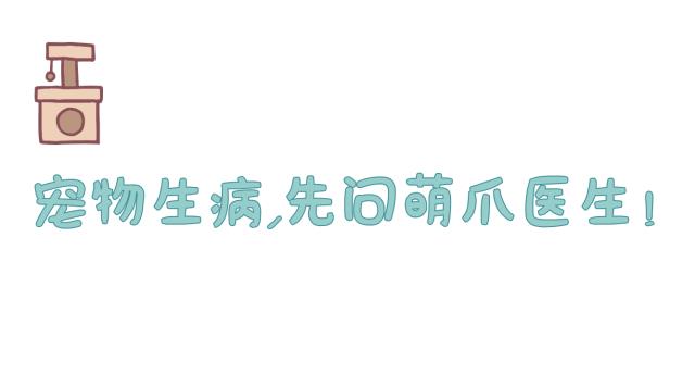 “我给猫纹身了，这次肯定红！”