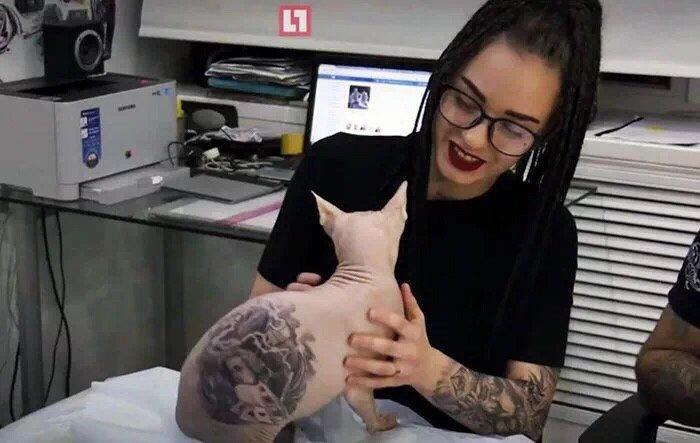 “我给猫纹身了，这次肯定红！”