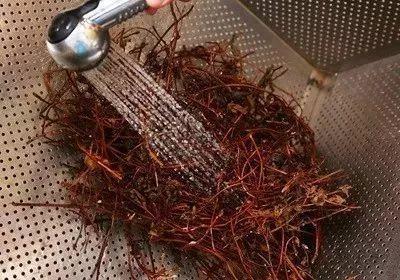 消暑解热就靠它！天然的仙草茶、嫩仙草在家做！