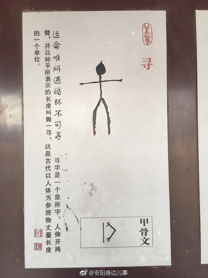 甲骨文全文对照