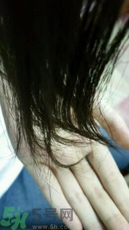 爱茉莉护发精油怎么样?Amore爱茉莉护发精油好用吗?