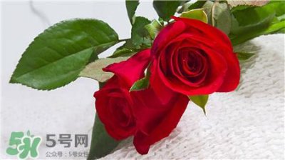 ​玫瑰花泡水可以敷脸吗?泡过的玫瑰花敷脸好吗?