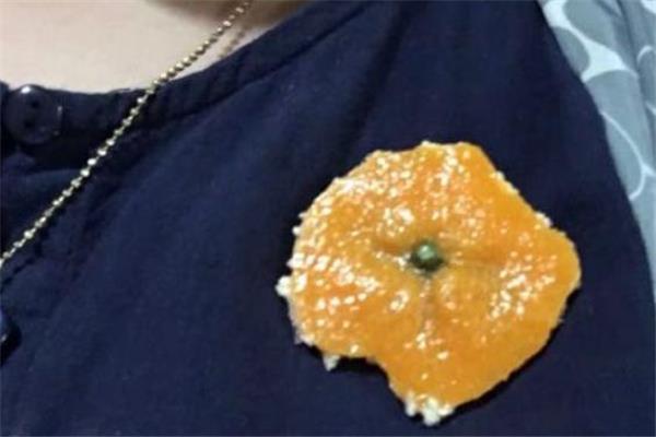 橘子皮胸针多少钱 橘子皮胸针在哪买