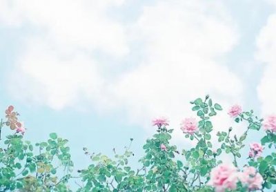 ​毛面鞋怎么洗干净毛毛衣服怎么清洗污渍