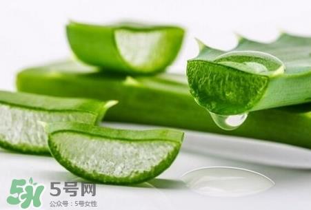 芦荟可以直接涂脸上吗?芦荟能直接涂脸上吗?