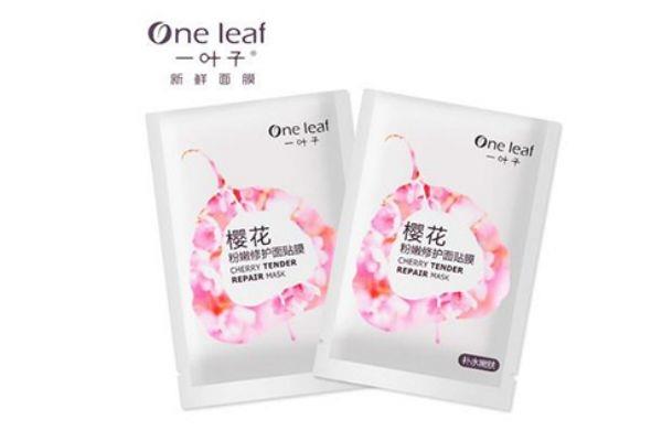 一叶子套装使用顺序 一叶子套装适合人群