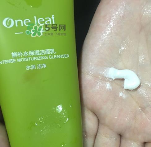 一叶子鲜补水洗面奶怎么样？一叶子鲜补水洁面乳好用吗？