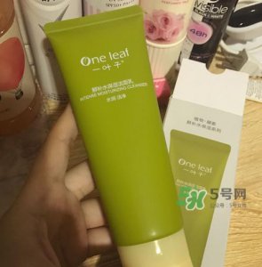 ​一叶子鲜补水洗面奶怎么样？一叶子鲜补水洁面乳好用吗？