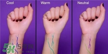 冷白皮适合什么口红?冷白皮适合什么颜色?