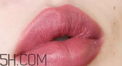 mac twig玫瑰豆沙色 mac twig试色