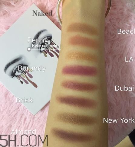 kylie the burgundy9色眼影盘色号_试色图