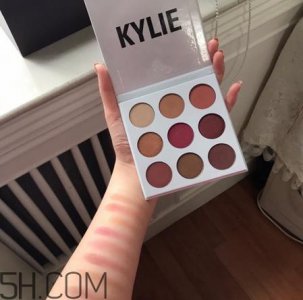 ​kylie the burgundy9色眼影盘色号_试色图