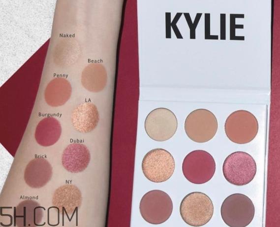 kylie the burgundy9色眼影盘色号_试色图