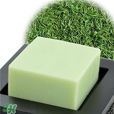洁面皂是碱性的吗?洁面皂可以天天用吗?