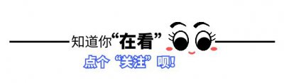 ​娶19岁金玲，拒绝拜师赵本山，认网红当干爹，孙小宝经历了什么？