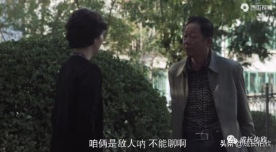 ​王志文，徐帆主演的《一树桃花开》，让我多次恍惚：演戏还是真心