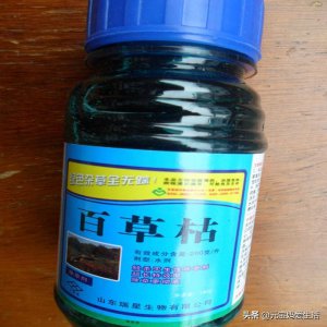 ​人在喝下百草枯后真的无法救治吗？身体会遭受哪些痛苦？