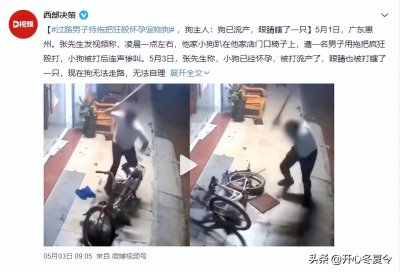 ​气愤！怀孕宠物狗遭男子暴打流产，视频曝光给所有家长提了醒