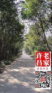 ​鄢陵传奇故事：被五马分尸的李存孝