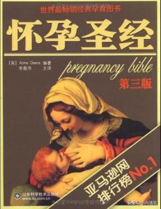 ​《怀孕圣经》- 一本写给新手爸妈的孕育指南