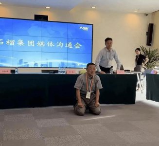 ​房地产百强之一的董事长“跪下”称霸房地产行业，崔巍公开回应