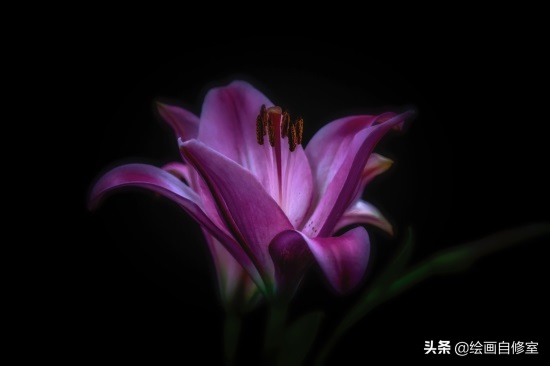 60张黑色系高清炫酷壁纸，横竖版都有