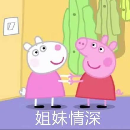 猪年必备，小猪佩奇表情包整理大合集，喜欢的可以关注一下哦