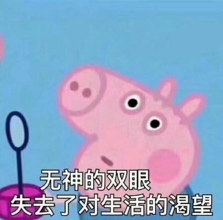 猪年必备，小猪佩奇表情包整理大合集，喜欢的可以关注一下哦