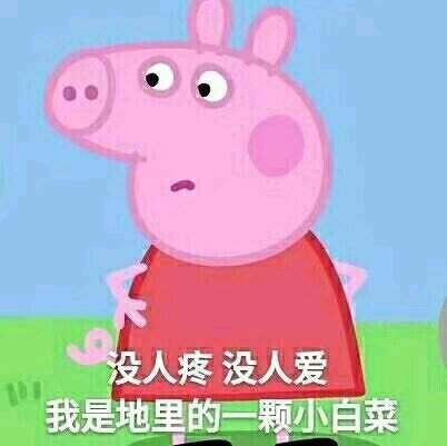 猪年必备，小猪佩奇表情包整理大合集，喜欢的可以关注一下哦