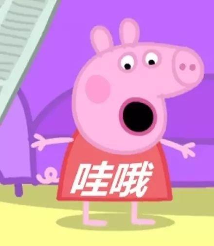 猪年必备，小猪佩奇表情包整理大合集，喜欢的可以关注一下哦