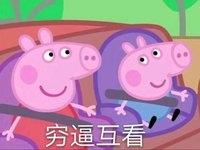 猪年必备，小猪佩奇表情包整理大合集，喜欢的可以关注一下哦