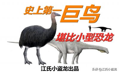 ​史上最大鸟类，体型堪比小型恐龙
